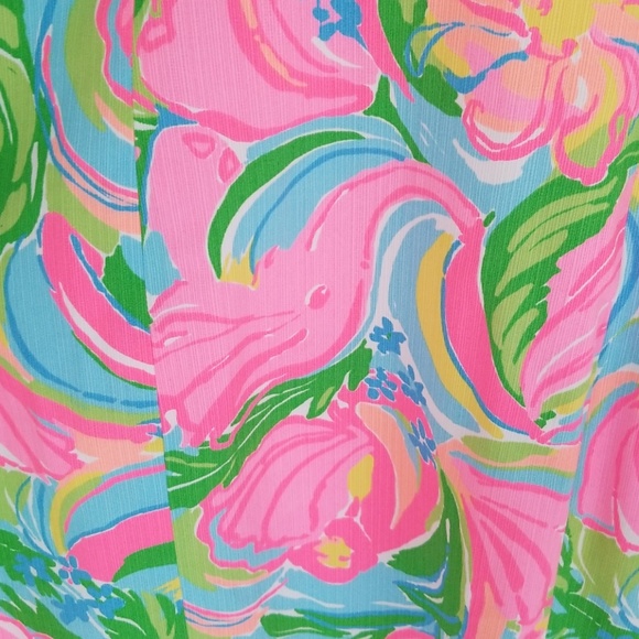 Lilly Pulitzer dress - Picture 3 of 5